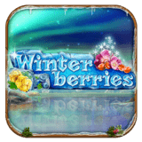 Slot Gacor Winterberries
