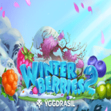 Slot Gacor Winterberries 2
